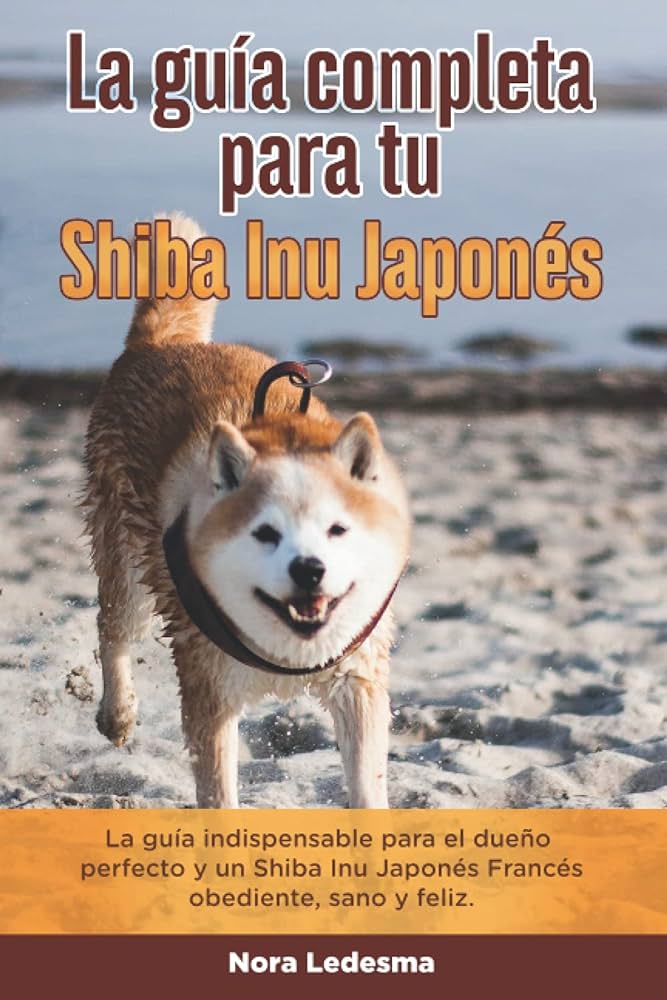 Adiestramiento y socialización de Shiba Inu: Guía completa