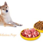 Alimentos a evitar para Shiba Inu: Guía de alimentación saludable