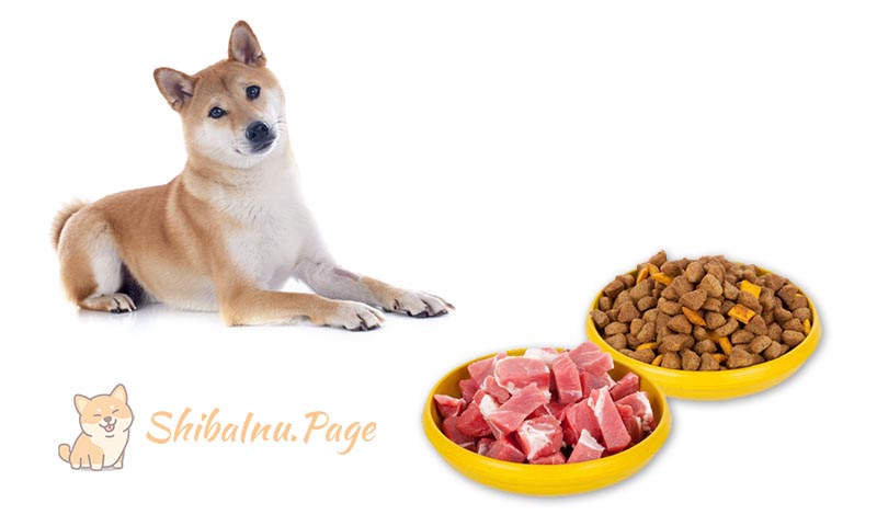 Alimentos a evitar para Shiba Inu: Guía de alimentación saludable