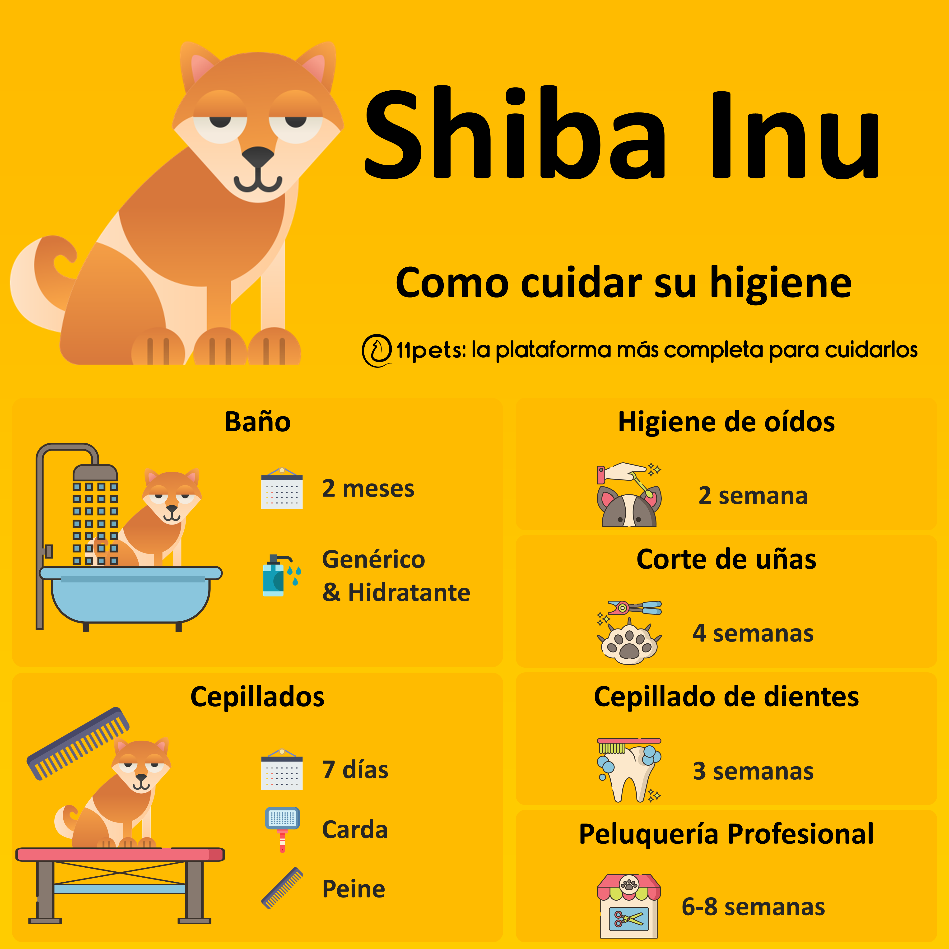 Aseo para perro Shiba Inu: Guía recomendada de productos y cuidados