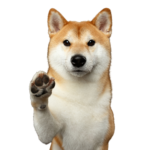 Características físicas de los Shiba Inu: Descubre qué los hace únicos