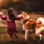 Conecta con tu Shiba Inu: Actividades para el desarrollo de tus hijos