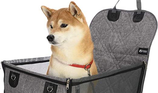 Consejos expertos para transportar cómoda y seguramente a tu Shiba Inu en viajes largos