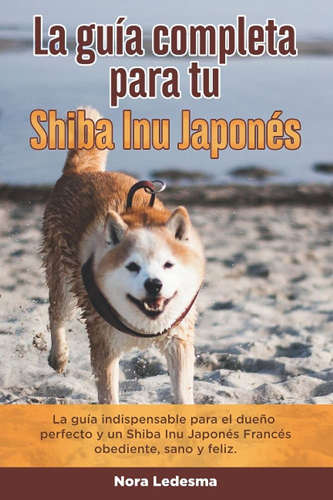 Domina el entrenamiento de tu Shiba Inu con esta guía completa: habilidades y técnicas profesionales