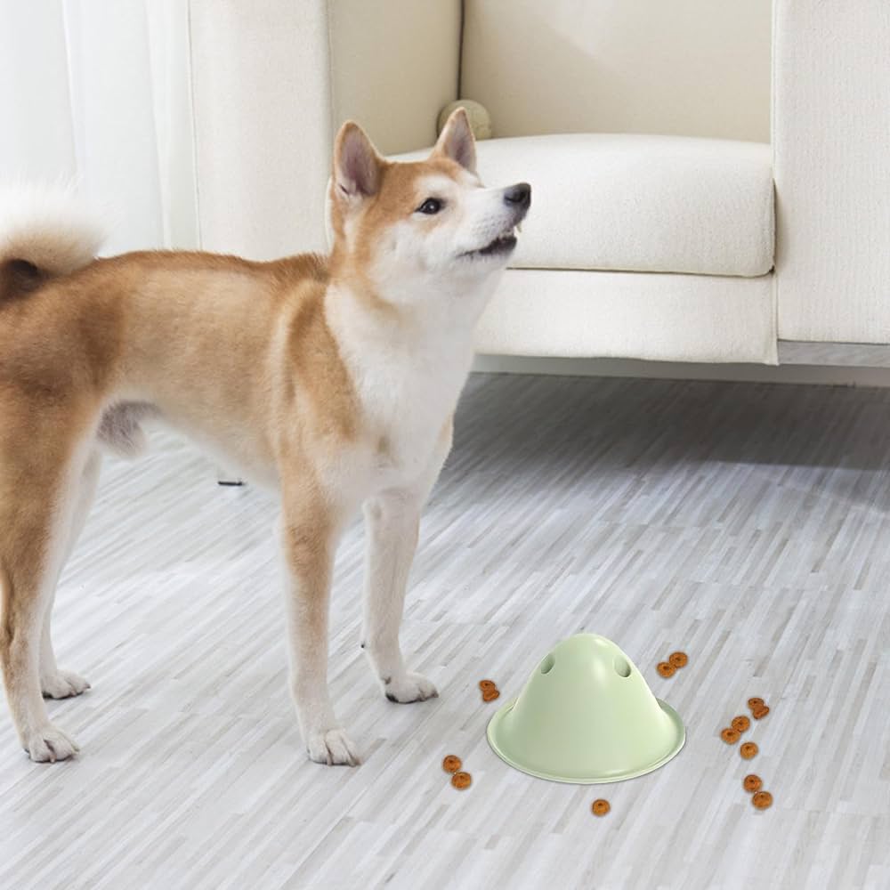 Estimulación mental para Shiba Inu: ejercicios para perros felices y activos