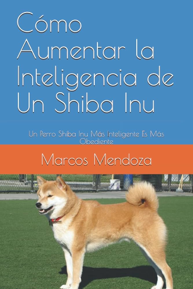 Expertos en mejora de la obediencia y agresividad en Shiba Inu