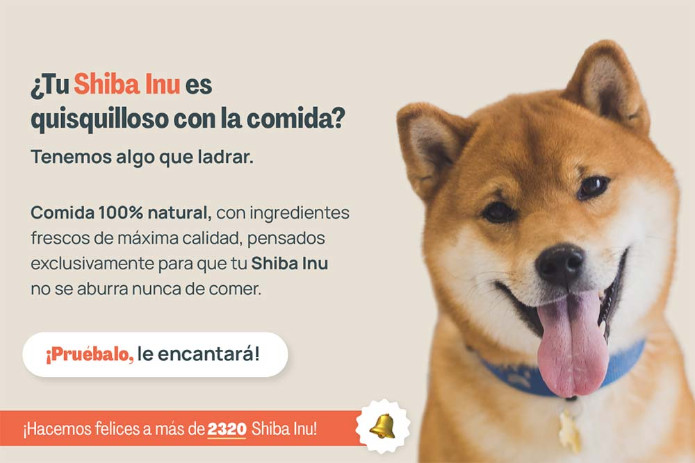 Guía de actividad física para Shiba Inu: Ejercicio ideal para tu perro