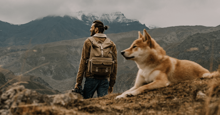 Mejora la salud mental y emocional de tu Shiba Inu con senderismo