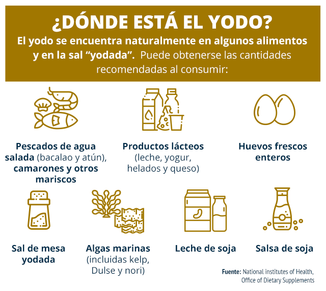 Prevenir enfermedades de tiroides en Shiba Inu: Métodos y consejos saludables