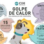 Prevenir golpe de calor en perro Shiba Inu: Protege a tu mascota con consejos expertos