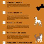 Señales de estrés y malestar en Shiba Inu: Guía Profesional