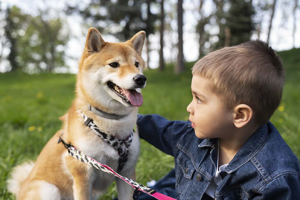 Shiba Inu: Guía completa para familias con niños pequeños