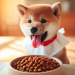 Transición de alimento para Shiba Inu cachorro: Guía paso a paso de expertos